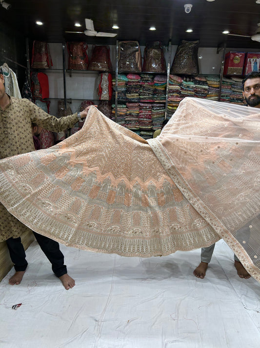 Amazing pink peach Lehenga