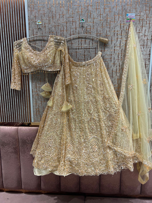 Sky Blue Crop Top Lehenga