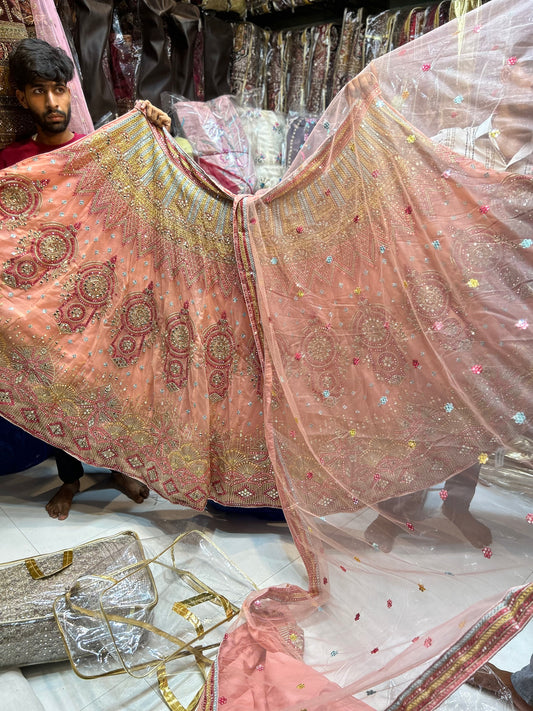 Eye catching beautiful Lehenga