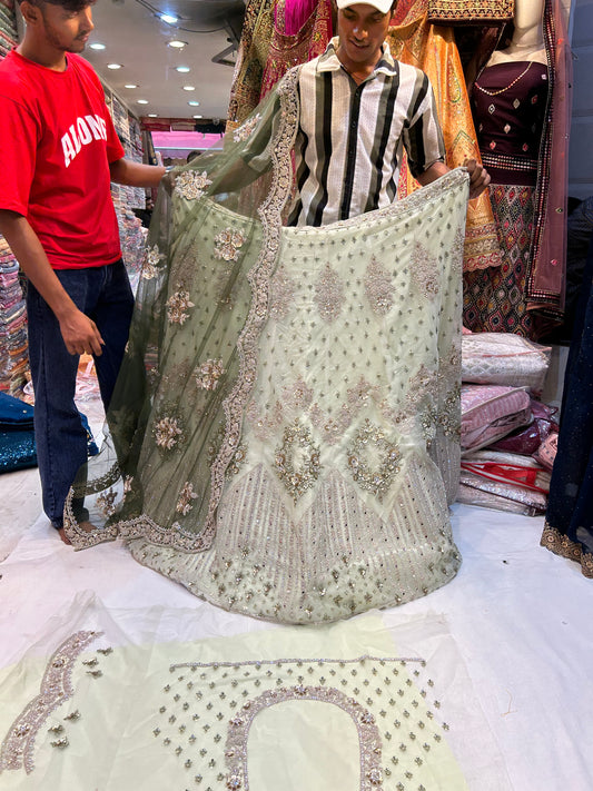 Gorgeous Light green Lehenga