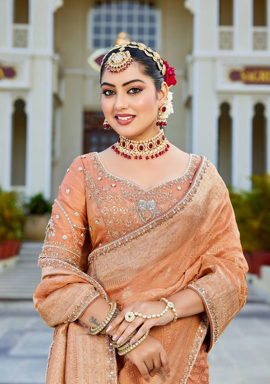 Orange Vicose Tissue Fabric with Beads Work Saree 6369 - Shopping World