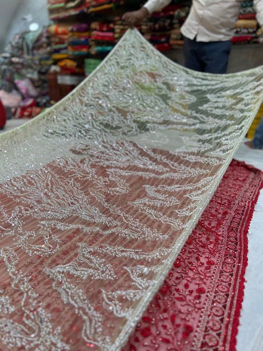 Light green pure handwork saree