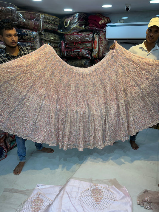Baby pink designer PDP lehenga