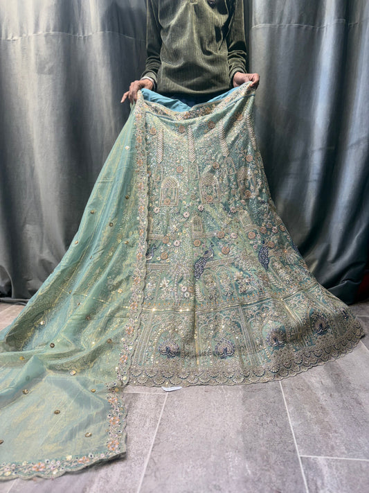 Good looking Light green Lehenga
