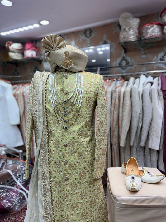 Pista green sherwani