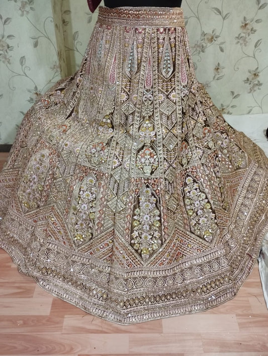 Beautiful soft pink Lehenga