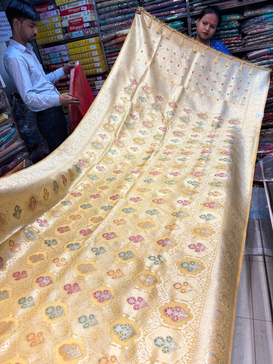 Gorgeous golden chiku saree