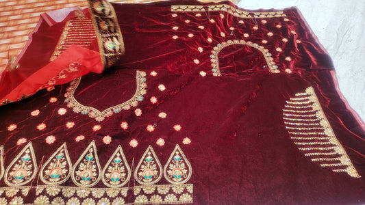 Beautiful Lehenga - Shopping World