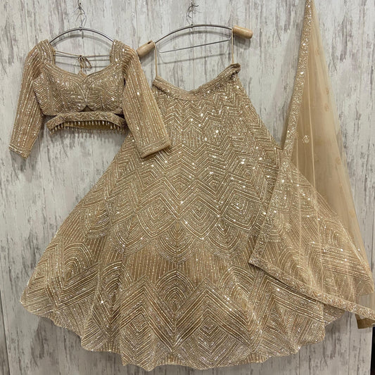 Fabulous Golden crop top Lehenga with Silver Work
