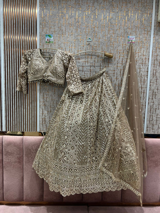 Embellished Rust beige Silver work crop top Lehenga