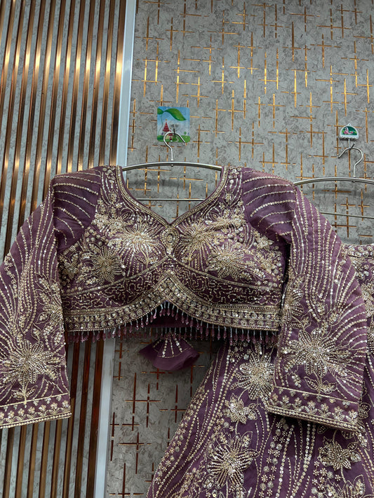 Something different Gajri pink Crop top Lehenga