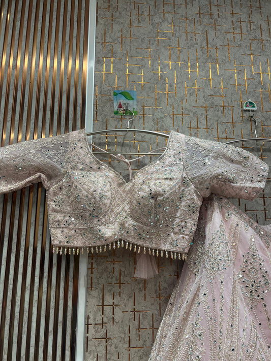 Lovely Baby pink crop top Lehenga