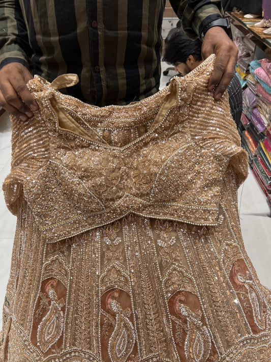 Double shade pink golden Peacock Crop Top Lehenga