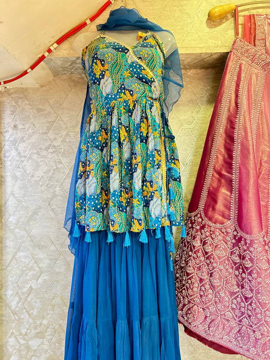 Gorgeous Blue  fancy dress  😍