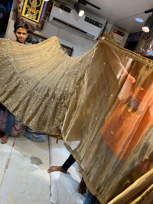 Fabulous Golden Lehenga