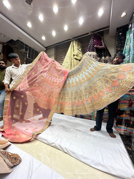Preciosa lehenga azul