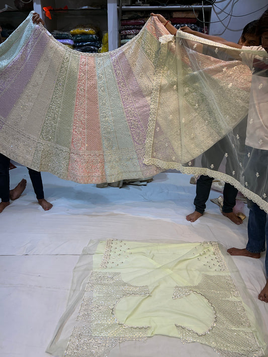 Designer multi color lehenga