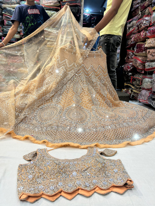 Beautiful Lehenga