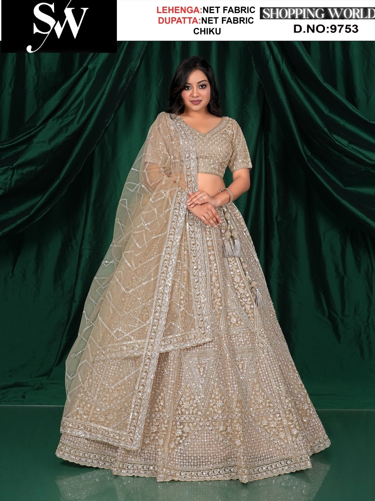 Chiku net fabric lehenga