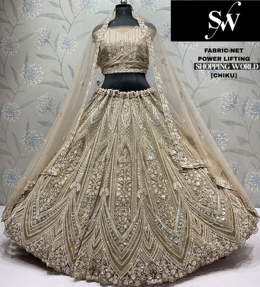 Gorgeous Chiku golden Net Lehenga