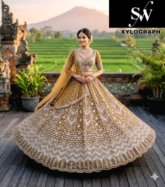 Rani Pink Net Lehenga