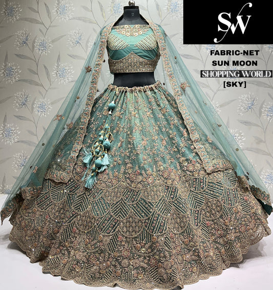 Gajri pink Net Lehenga - Shopping World