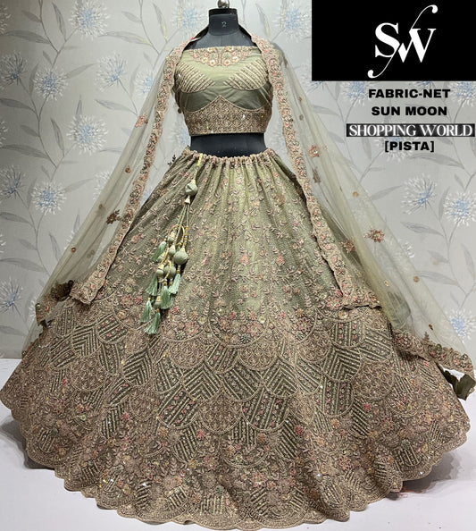 Gajri pink Net Lehenga - Shopping World