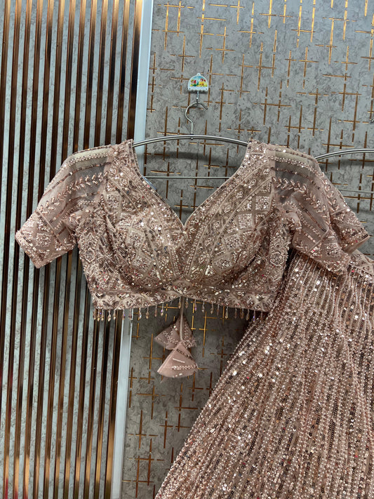 Baby Pink On pink Monotone Crop Top Lehenga