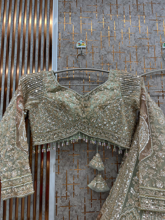 Double shade pista green Peacock Crop Top Lehenga