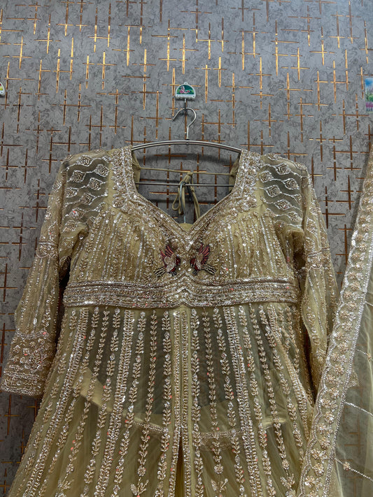 Chiku Golden long peplum Dress Farshi Gaharara Dress Special