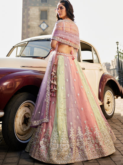 Beautiful multicolour lehenga