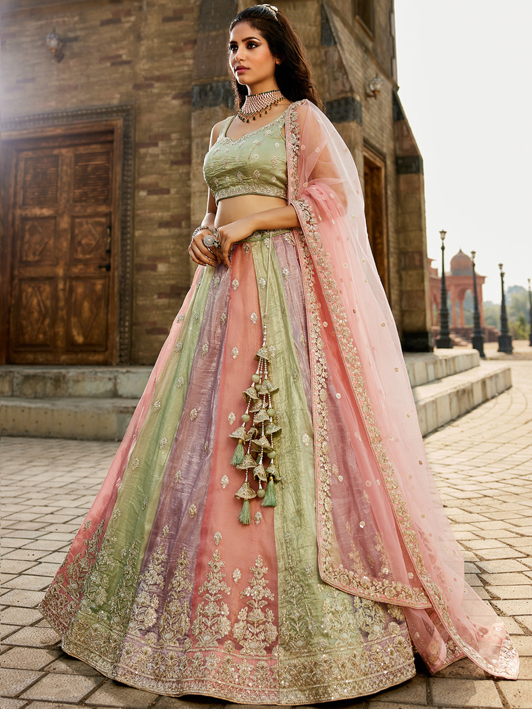 Elegant multicolour lehenga