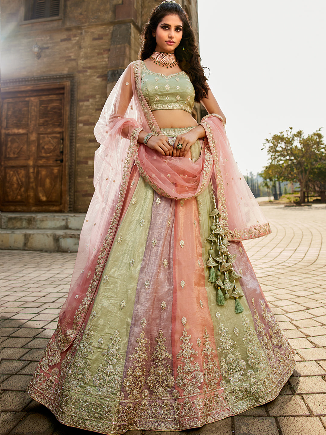 Elegant multicolour lehenga