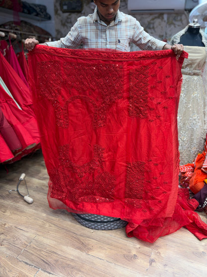 Red on Red Monotone Lehenga
