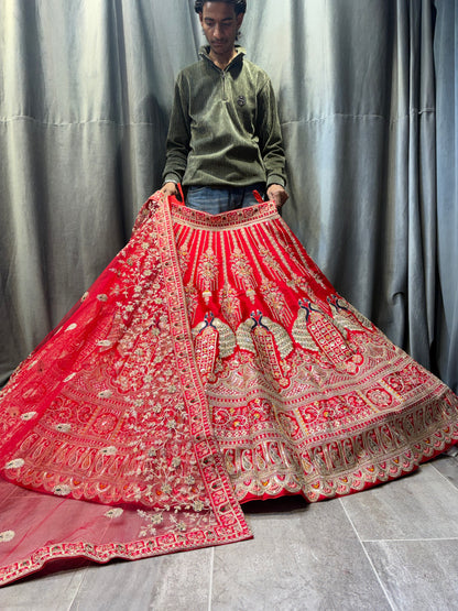 Charming Red peacock Bridal Lehenga