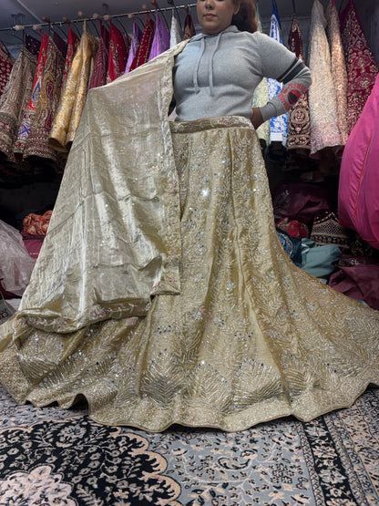Stunning Golden mirror work Lehenga