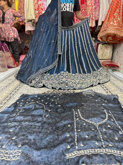 Fantastic Sky blue Lehenga