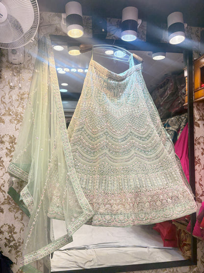 Pretty green crop top Lehenga