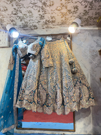 Something different Sky blue crop top Lehenga