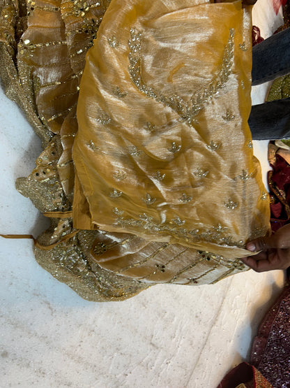 Tremendous golden mirror Lehenga