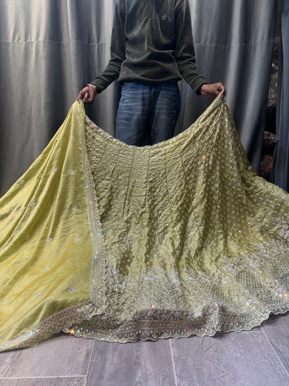 Eye Catching light yellow Lehenga