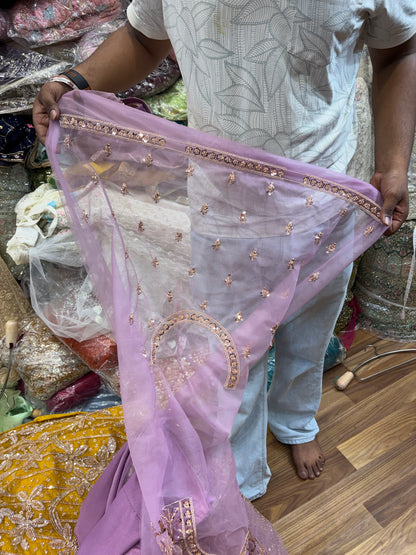 Pink Designer Lehenga