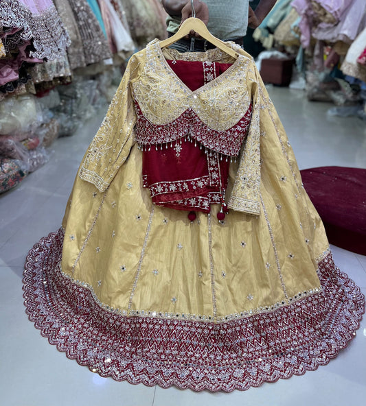 Pink wine crop top Lehenga
