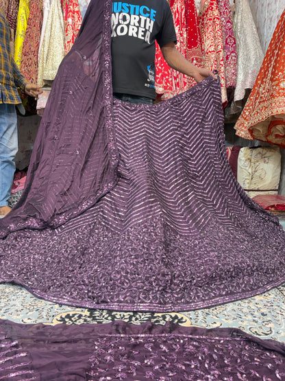 Gorgeous purple Lehenga