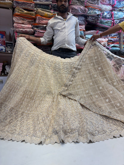 Gorgeous chiku golden Lehenga