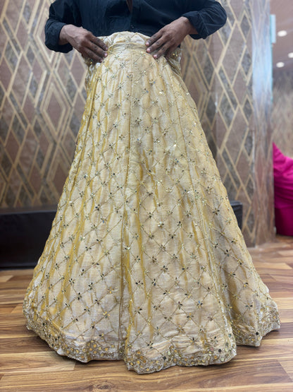 Lavishing golden Sequence Lehenga