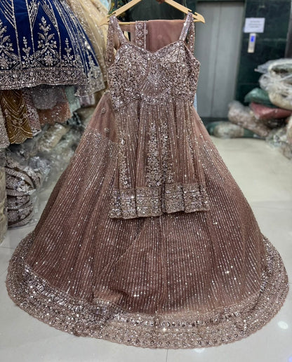 Baby pink chiku colour maroon Crop Top Lehenga (Copy)