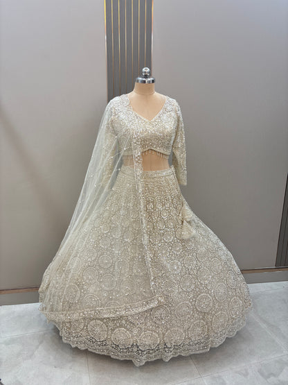 Gorgeous Cherry red on red Monotone Crop top Lehenga