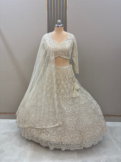 Gorgeous Cherry red on red Monotone Crop top Lehenga