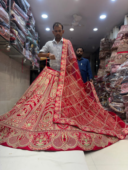 Something different Rani pink Bridal Lehenga